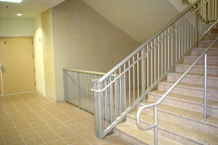 Aluminum Anodized Picket Rails